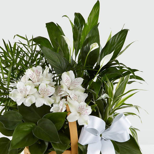 Peace & Serenity Dishgarden – Visalia Flower Shop, Visalia CA