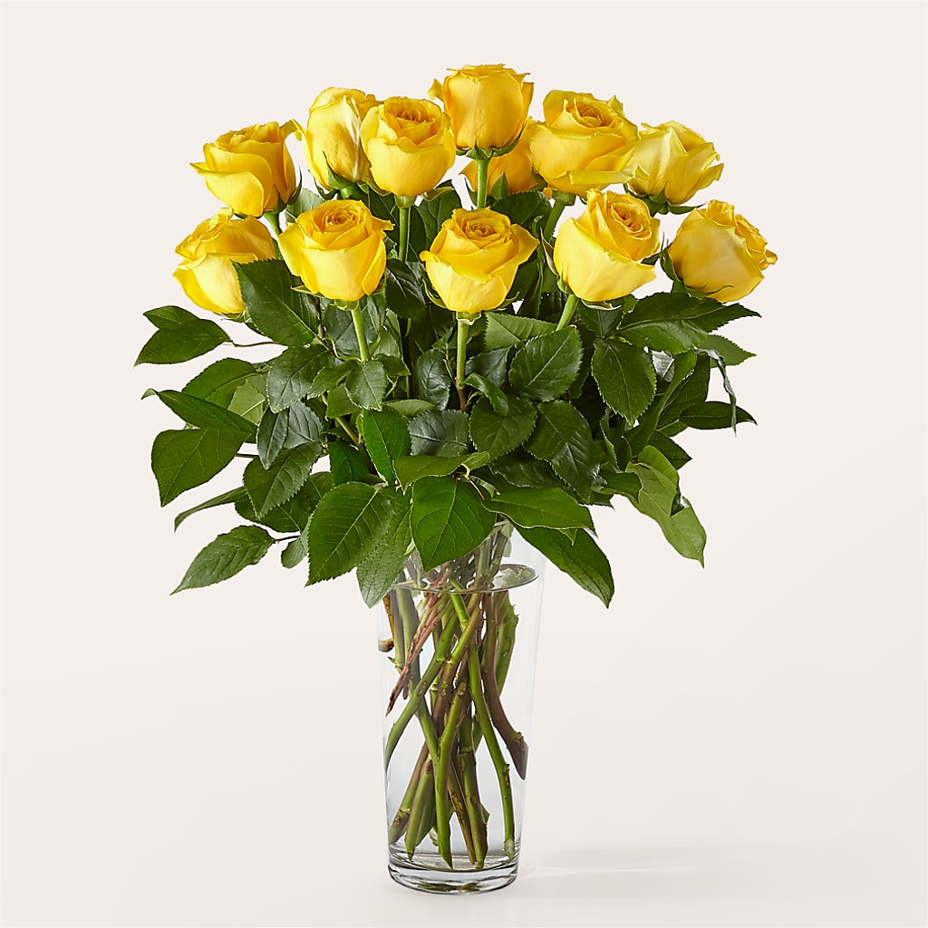 Long Stem Yellow Rose Bouquet – Visalia Flower Shop, Visalia CA