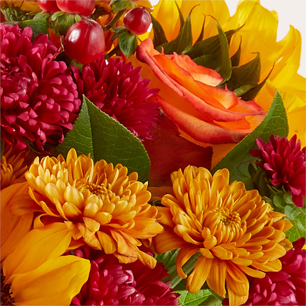 Sweater Season - A Florist Original – Visalia Flower Shop, Visalia CA