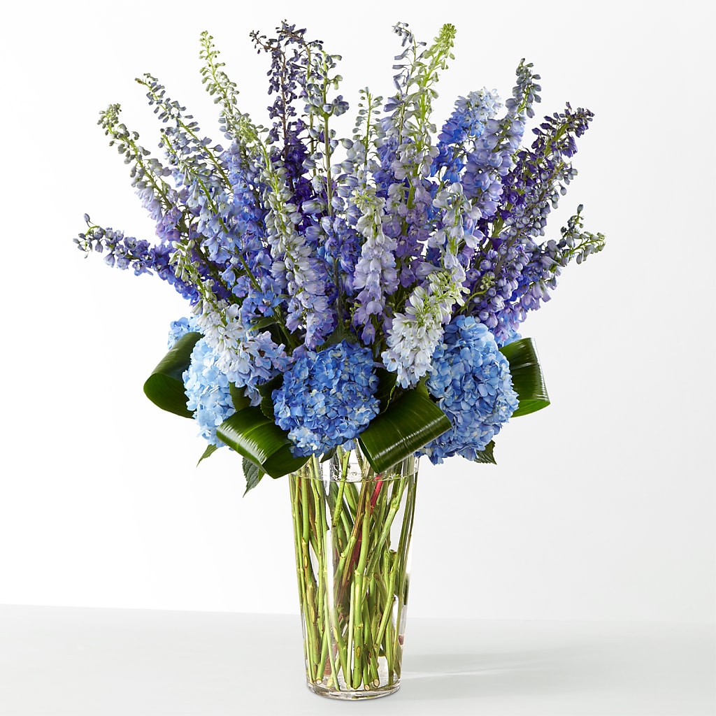 The Editorial – Visalia Flower Shop, Visalia CA