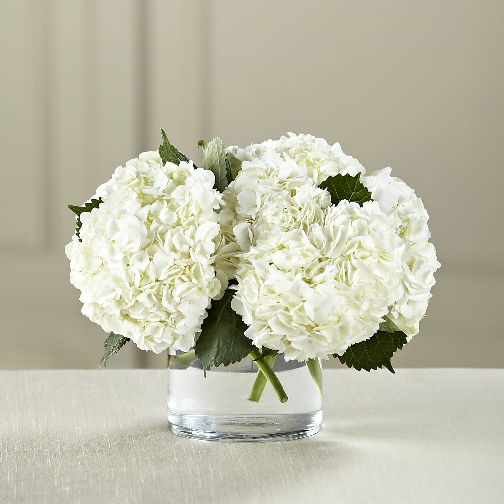 White Hydrangea Bouquet – Visalia Flower Shop, Visalia CA
