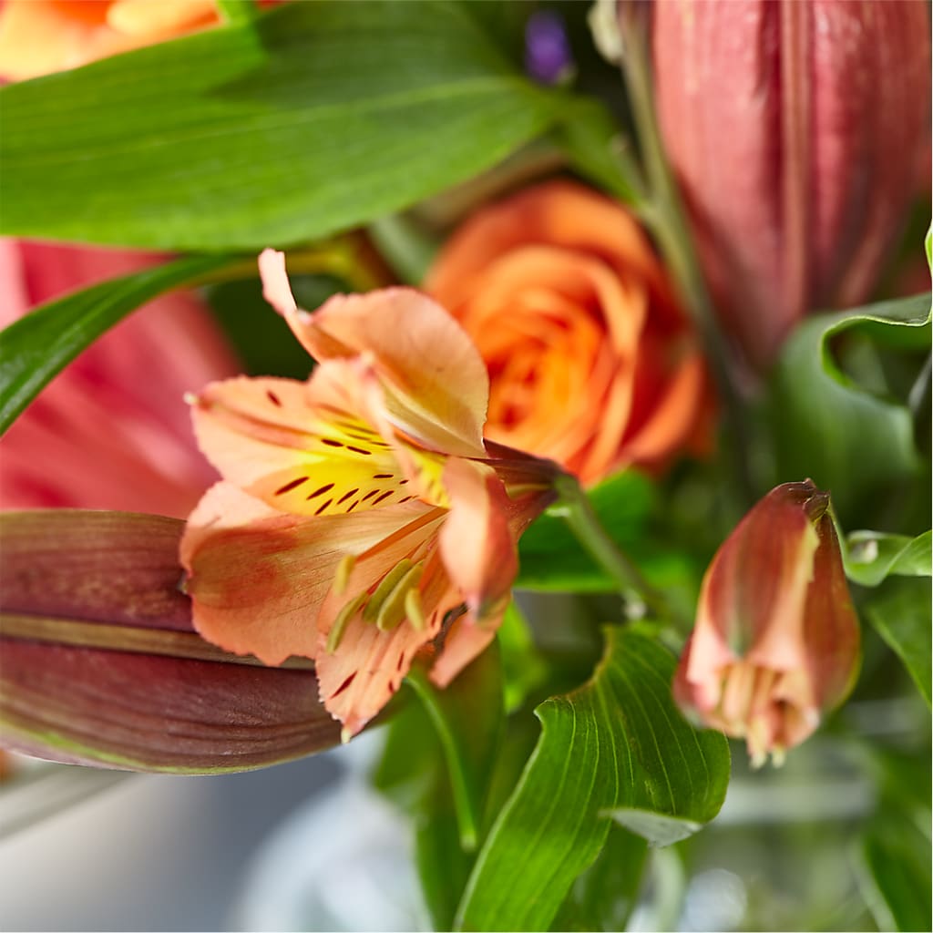 Bold & Bright – A Florist Original –  Visalia Flower Shop, Visalia CA