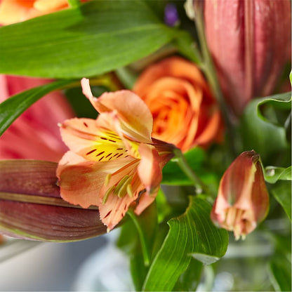Bold & Bright – A Florist Original –  Visalia Flower Shop, Visalia CA