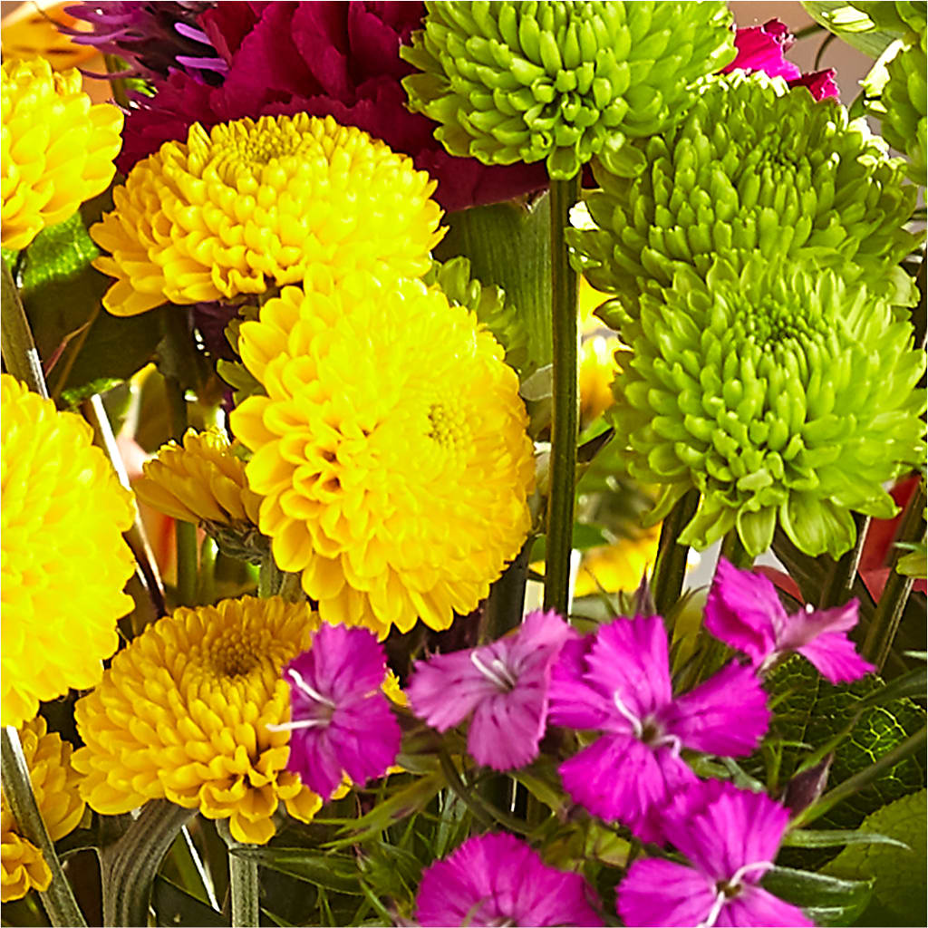 Bold & Bright – A Florist Original –  Visalia Flower Shop, Visalia CA