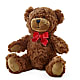 Adorable Plush Bear –  Visalia Flower Shop, Visalia CA