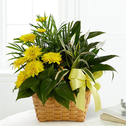 Loving Light Dishgarden –  Visalia Flower Shop, Visalia CA