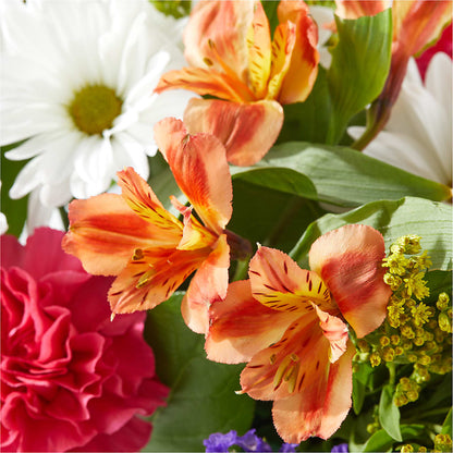 Oopsie Daisy Box Bouquet –  Visalia Flower Shop, Visalia CA