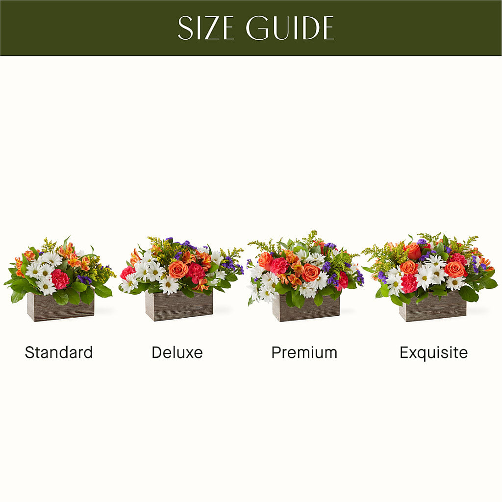 Oopsie Daisy Box Bouquet –  Visalia Flower Shop, Visalia CA