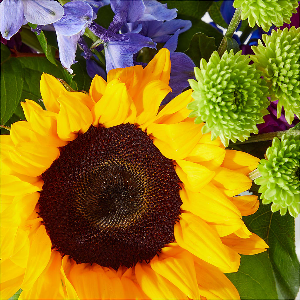 Catching Rays Bouquet –  Visalia Flower Shop, Visalia CA