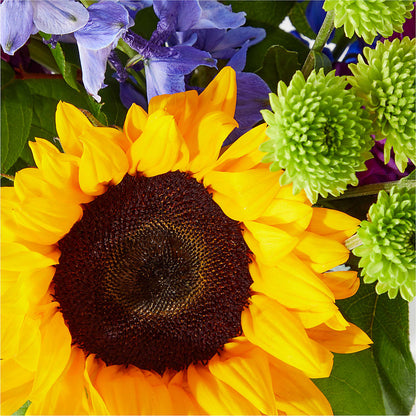 Catching Rays Bouquet –  Visalia Flower Shop, Visalia CA