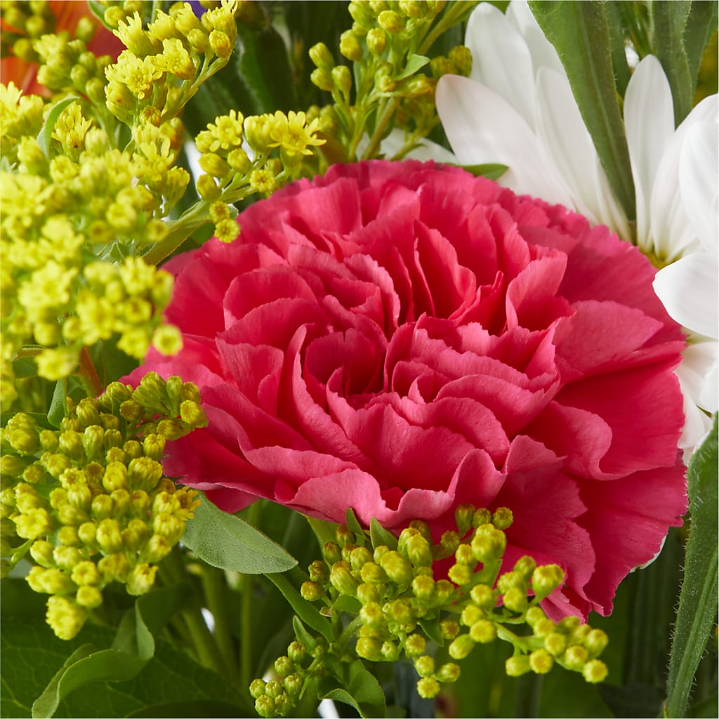 Oopsie Daisy Bouquet –  Visalia Flower Shop, Visalia CA