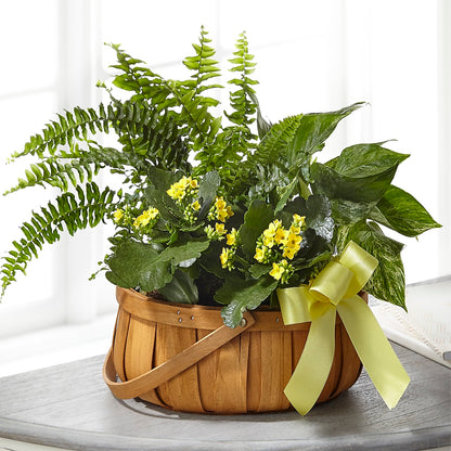 Always Dear Dishgarden –  Visalia Flower Shop, Visalia CA