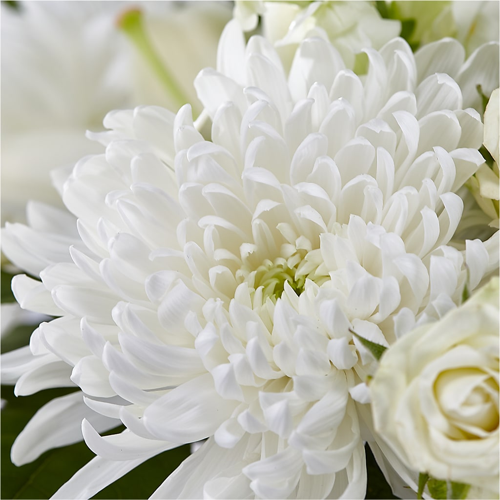 Classic Ivory – A Florist Original –  Visalia Flower Shop, Visalia CA