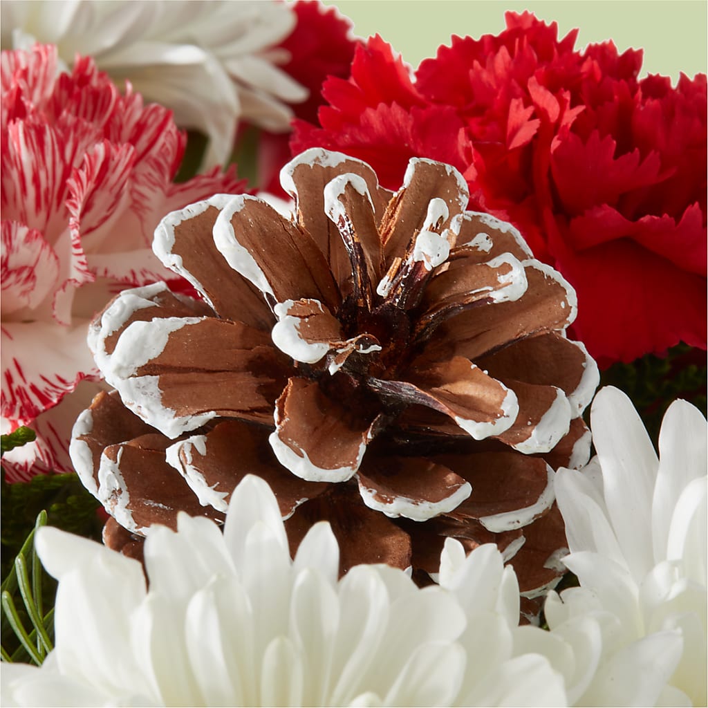 Candy Cane Lane Bouquet –  Visalia Flower Shop, Visalia CA
