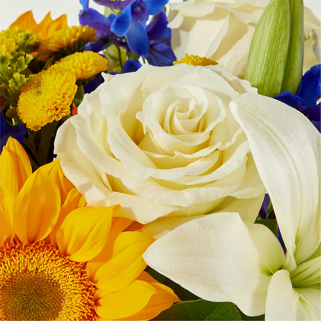 Stargazing Bouquet –  Visalia Flower Shop, Visalia CA