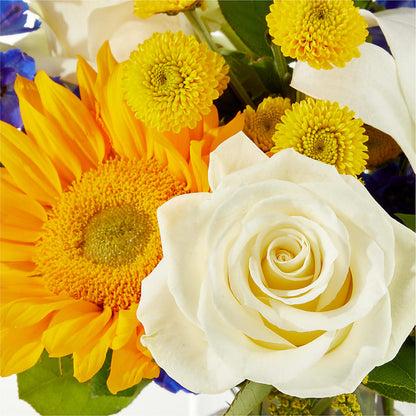 Stargazing Bouquet –  Visalia Flower Shop, Visalia CA