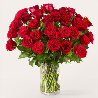 The One Red Rose Bouquet –  Visalia Flower Shop, Visalia CA