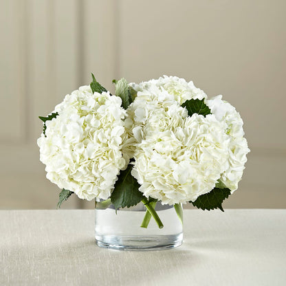 White Hydrangea Bouquet –  Visalia Flower Shop, Visalia CA